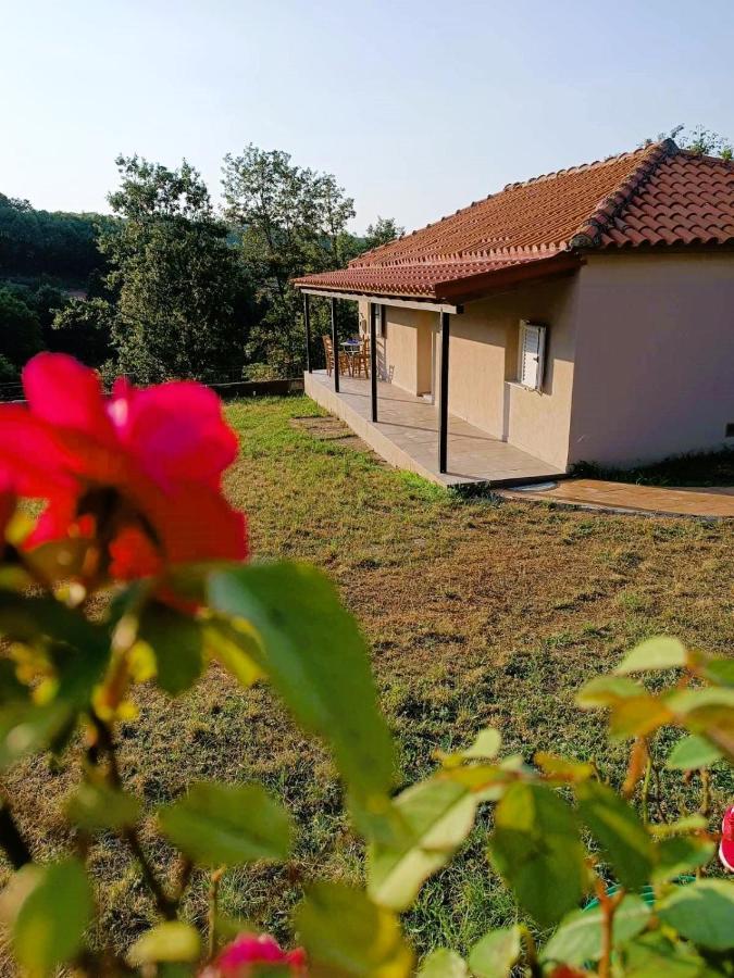 Billy'S House Vila Kalabáka Exterior foto